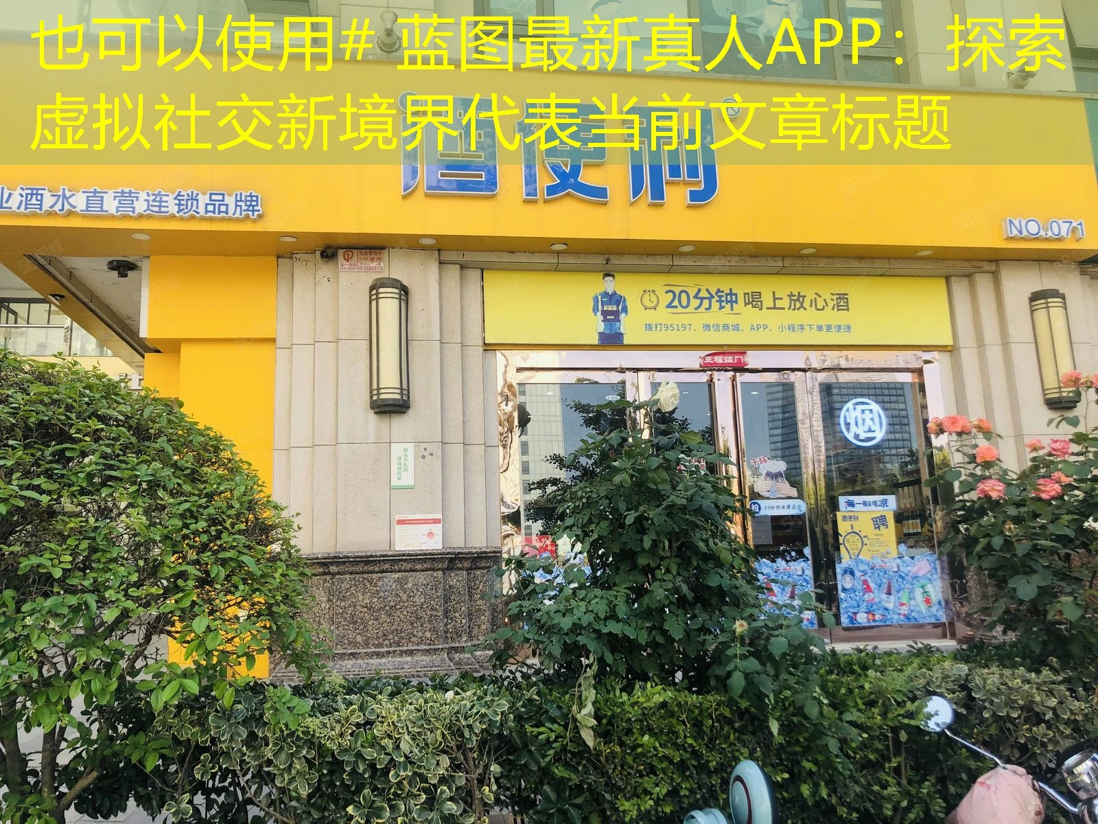 # 蓝图最新真人APP：探索虚拟社交新境界