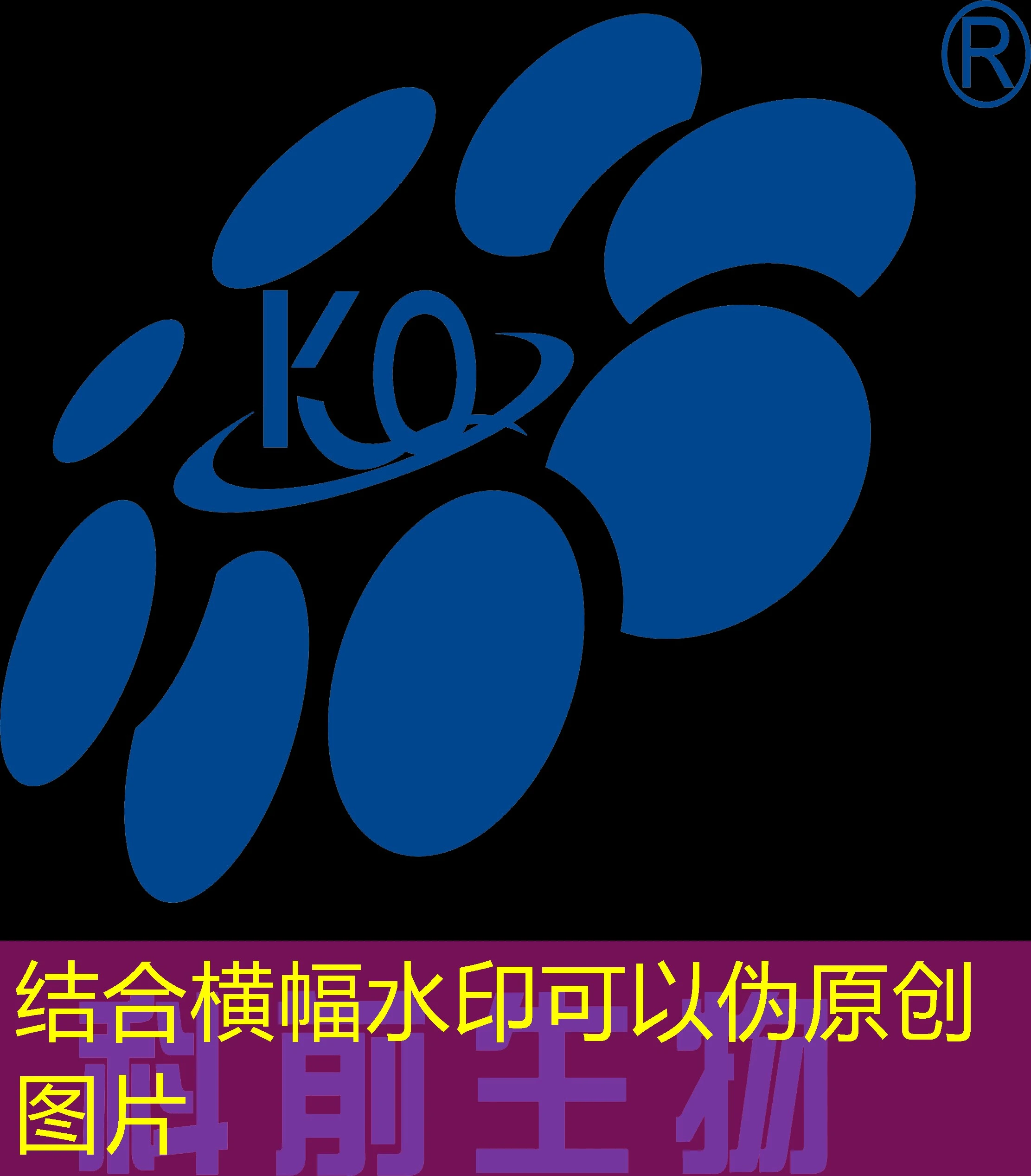 蓝图娱乐注册送金币：新手福利与平台介绍