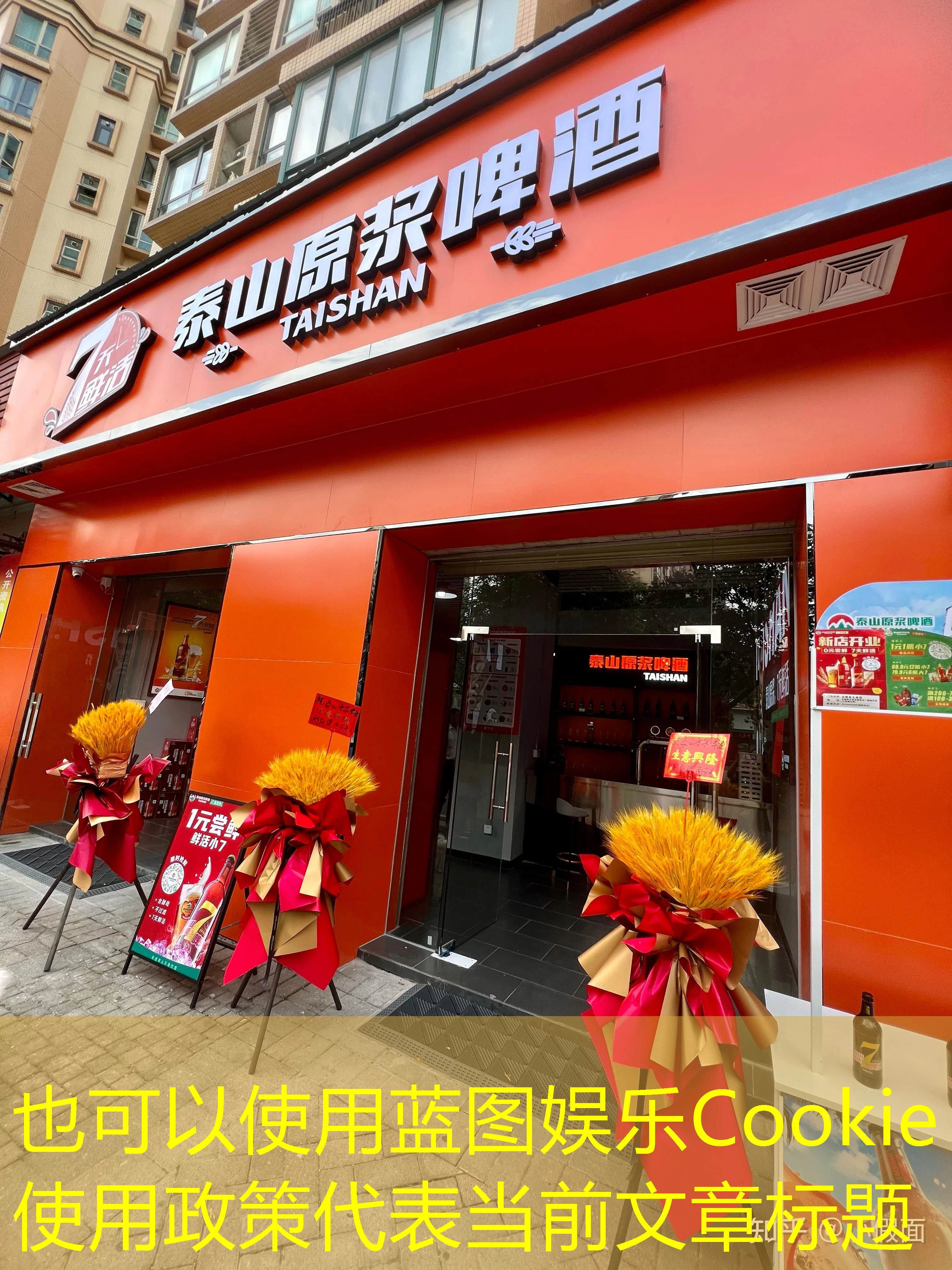 蓝图娱乐Cookie使用政策