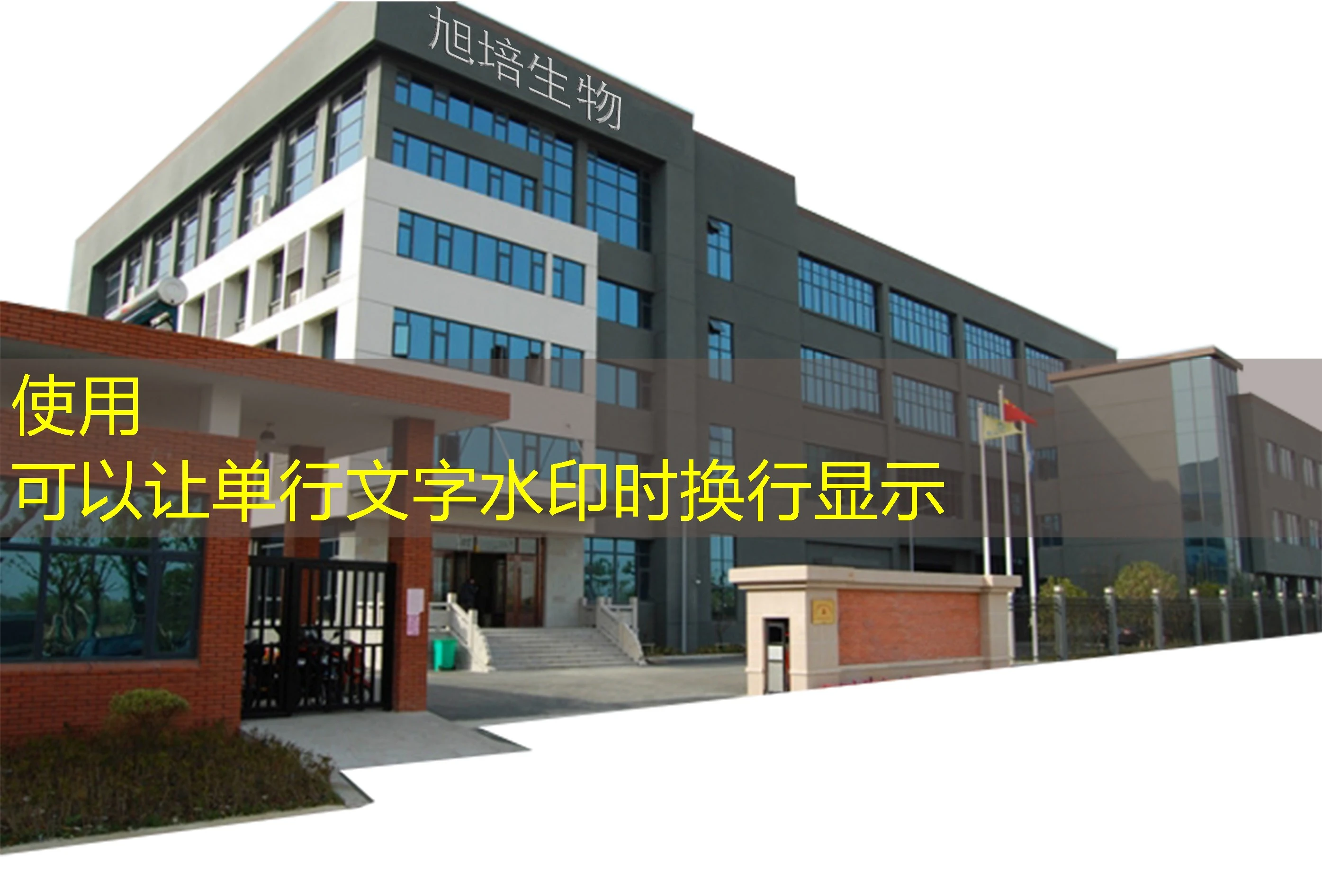 探索蓝图娱乐真人：打造沉浸式娱乐体验的娱乐平台官网