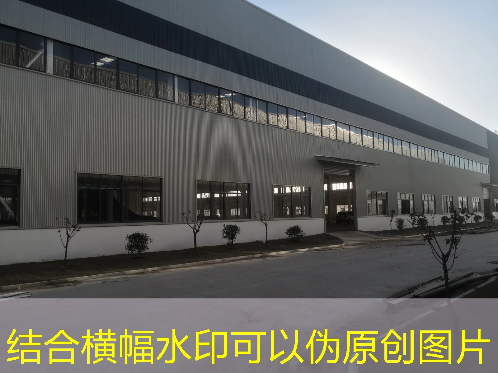 探索运动新体验：蓝图体育下载指南