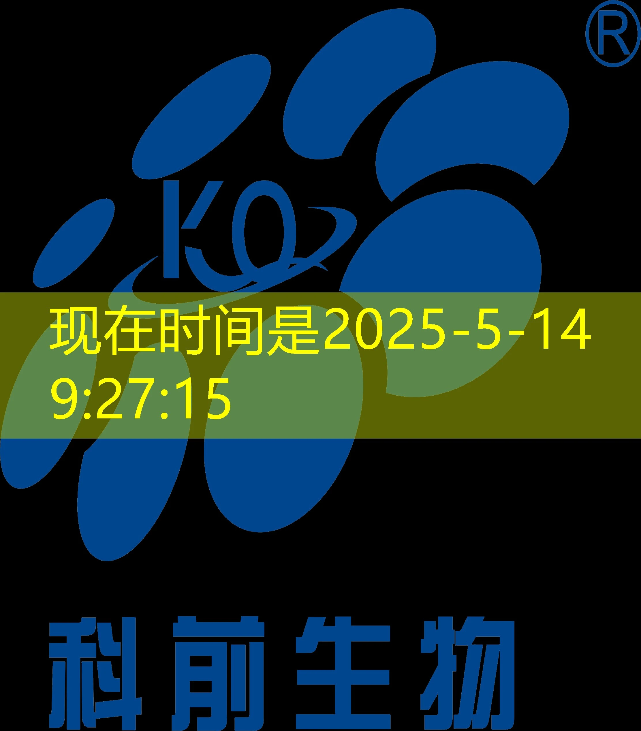 蓝图娱乐生日礼金：为精彩生活增添一份惊喜