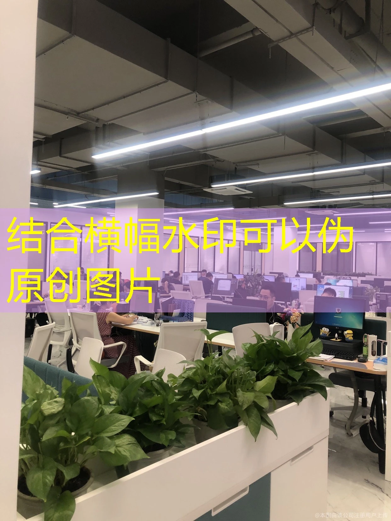 蓝图娱乐信誉怎么样 蓝图娱乐平台信誉如何？玩家真实反馈分析