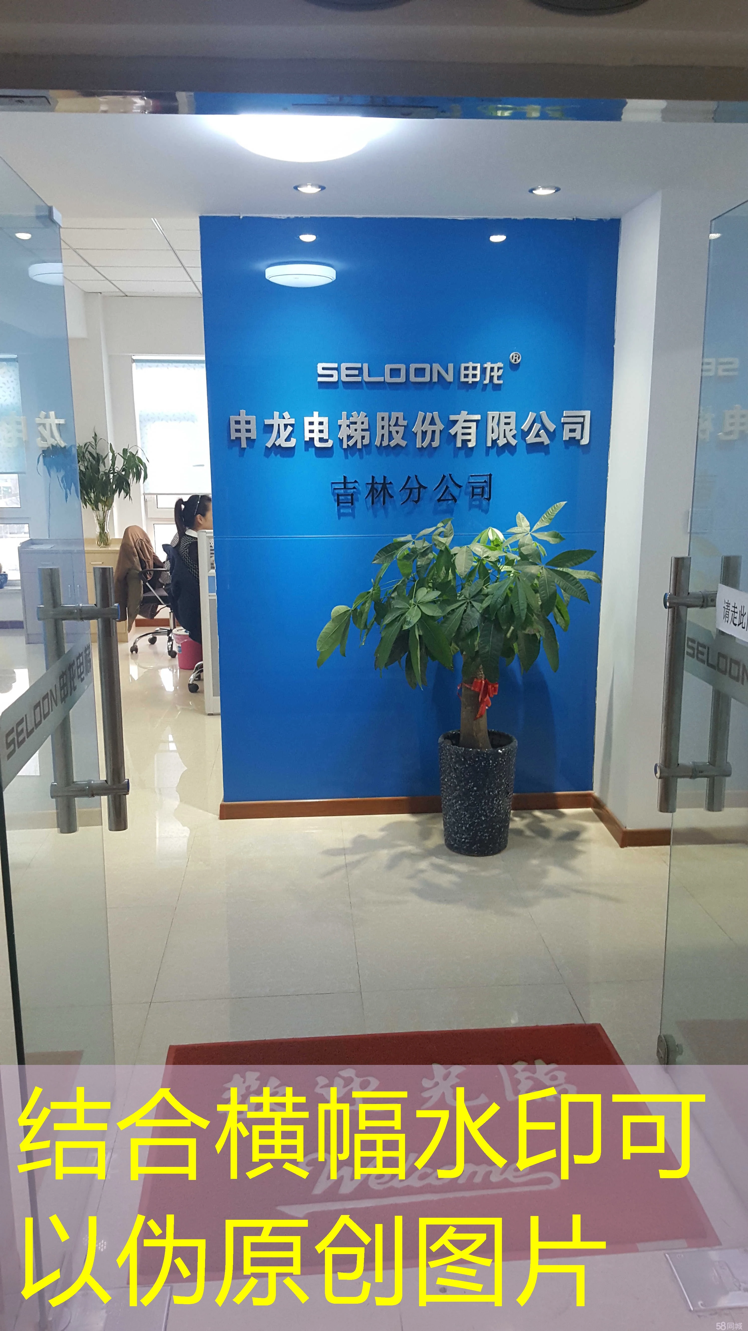 蓝图招商扶持计划：为企业发展注入新活力