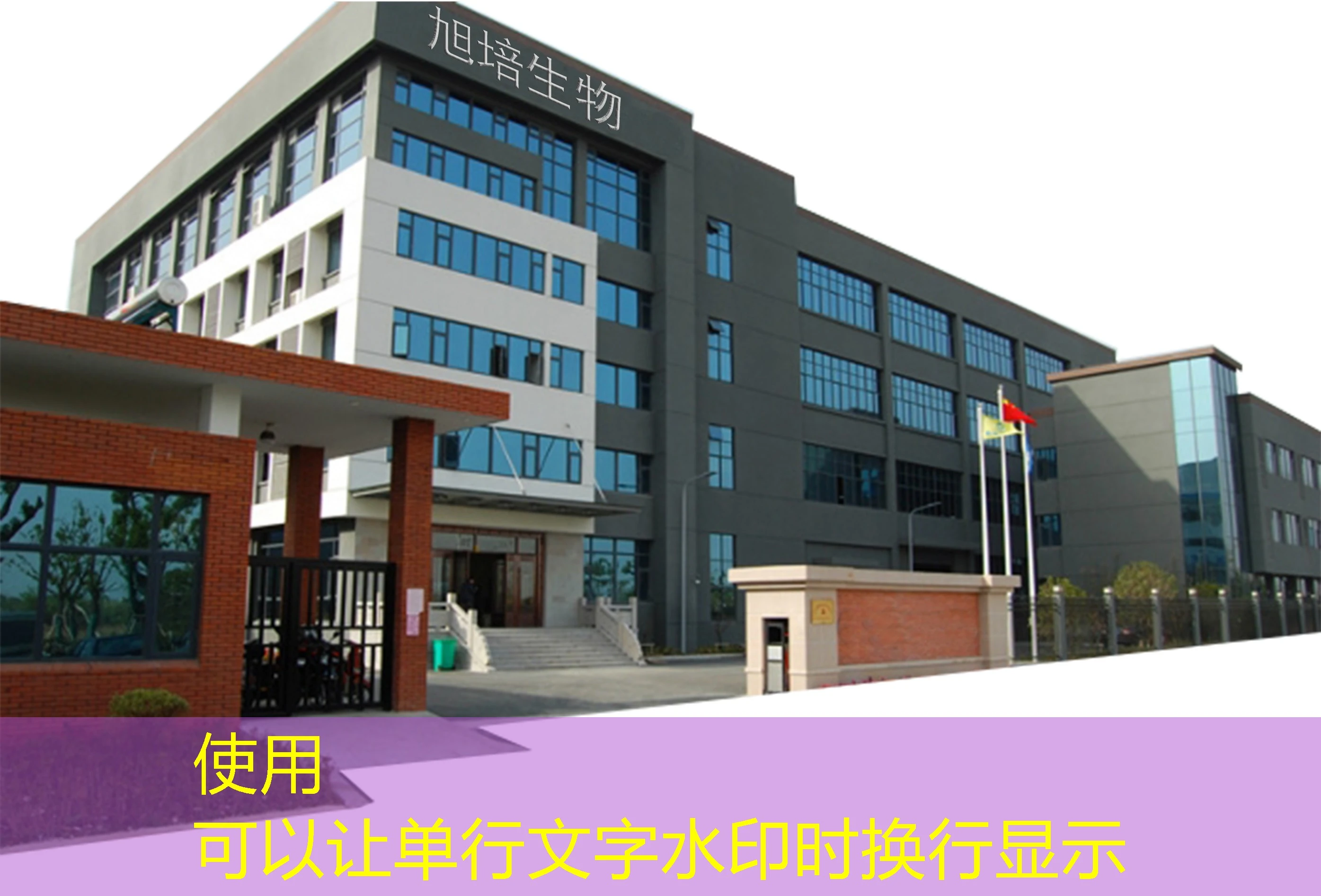 蓝图最新APP：开启未来设计新篇章