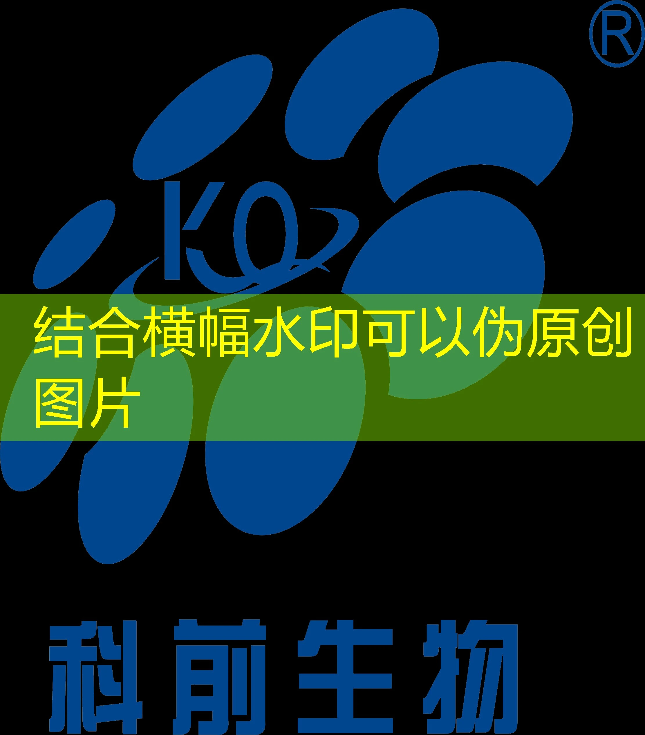 蓝图娱乐生日礼金：为精彩生活增添一份惊喜