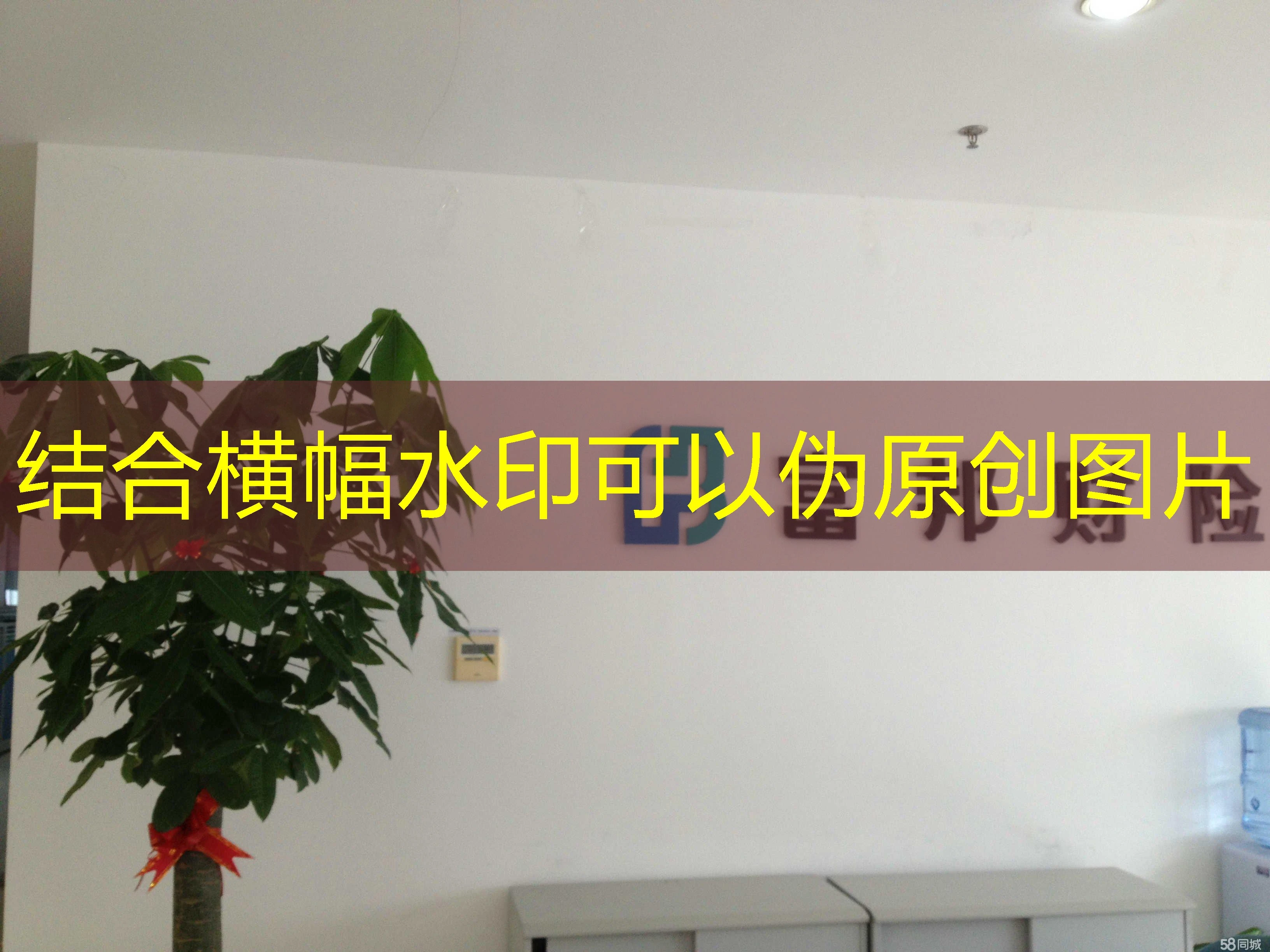 蓝图娱乐代理推广工具:高效引流,助力业务增长 蓝图娱乐代理推广工具:高效引流,助力业务增长